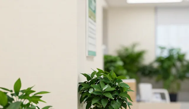 慢病随访系统选型建议：集中部署与分布式部署的对比